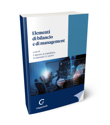 elementi-di-bilancio-e-di-management